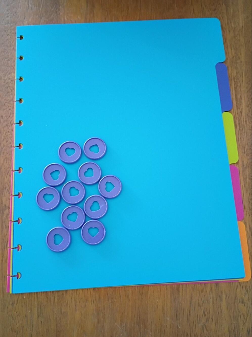 TUL Letter Size 5 Pc Dividers and Happy Planner Discs *** Final Price ***